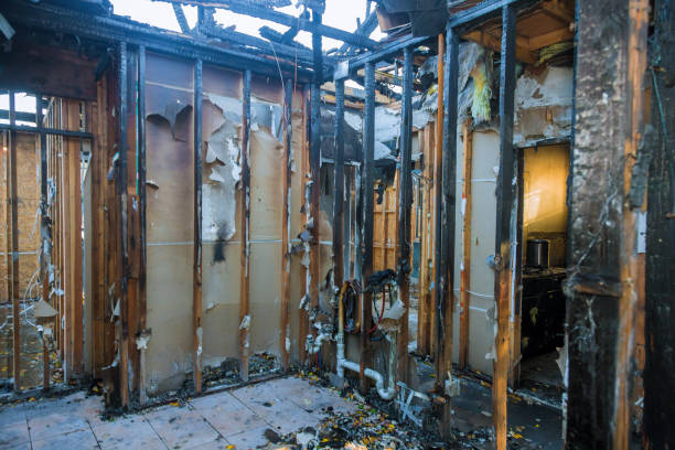 Professional Fire Damage Removal technician working in Pine Bluff, AR